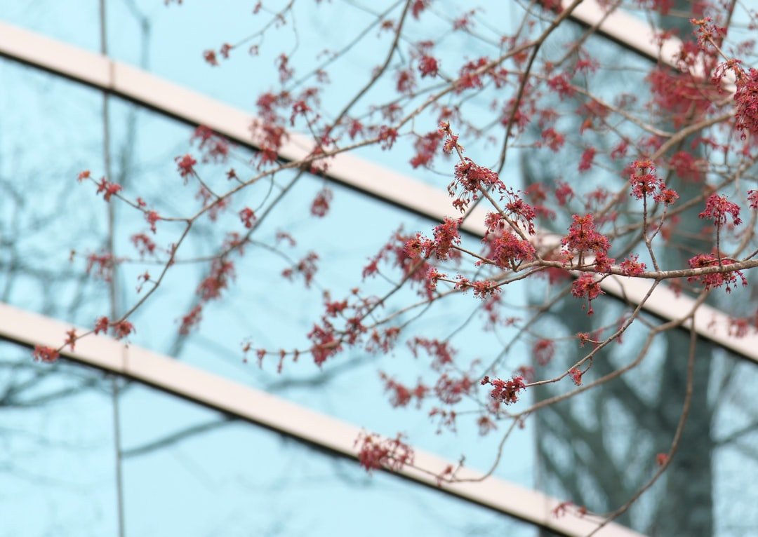découvrez comment préserver un environnement sain pour améliorer la qualité de vie et protéger notre planète grâce à des pratiques durables et respectueuses de la nature.