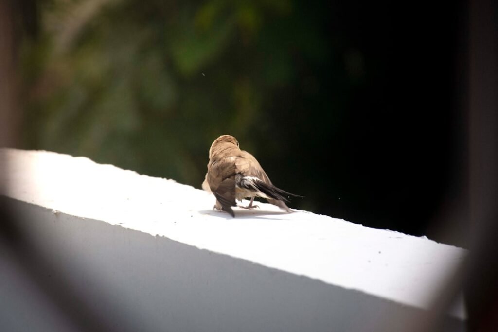 découvrez des conseils et astuces pour créer un environnement sain, propice au bien-être et à la santé, en harmonie avec la nature.