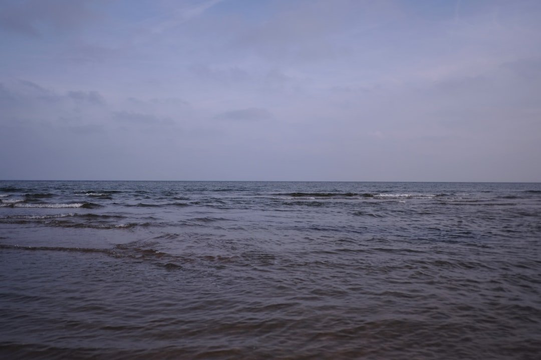 découvrez comment créer un environnement sain pour améliorer votre bien-être et préserver la nature grâce à des pratiques durables et respectueuses.