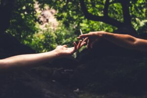 découvrez la thérapie d'acceptation et d'engagement (act), une approche psychologique qui aide à vivre pleinement en acceptant ses émotions et en s'engageant vers ses valeurs.