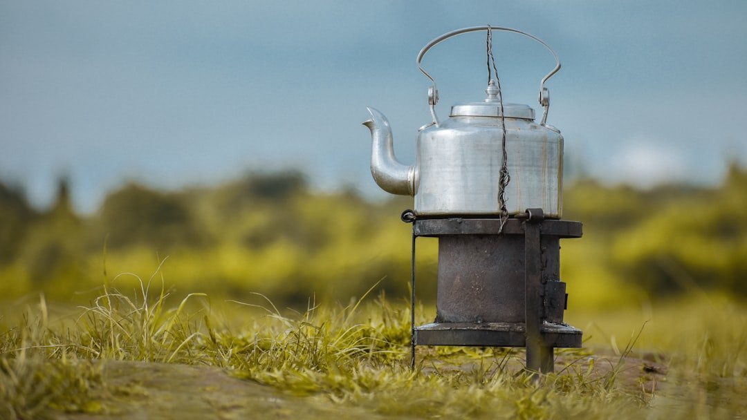 bouilloire électrique rapide et pratique pour chauffer votre eau en quelques minutes. idéale pour préparer thé, café et infusions facilement.