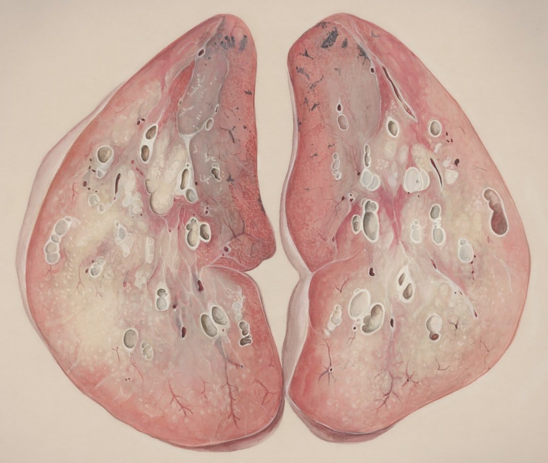découvrez le rôle essentiel des hormones thyroïdiennes dans la régulation du métabolisme, la croissance et le développement, ainsi que leur impact sur la santé générale.