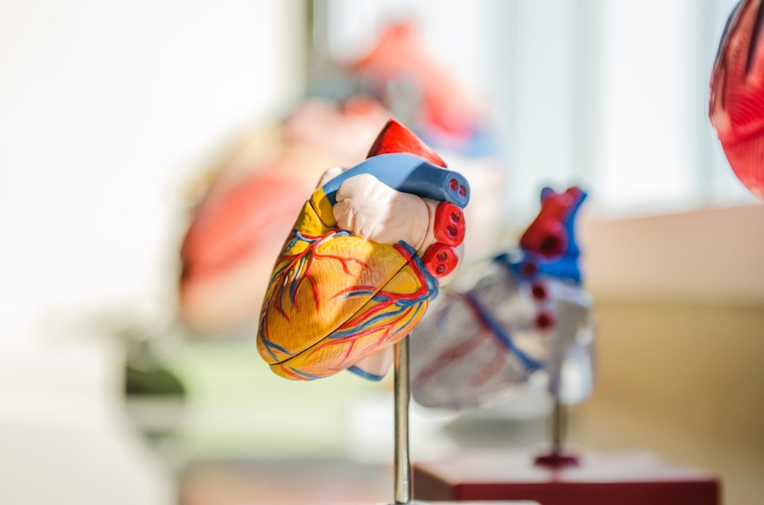 transformation de la santé cardiaque : améliorez votre bien-être cardiovasculaire grâce à des conseils, des stratégies et des solutions innovantes pour un cœur en pleine forme.