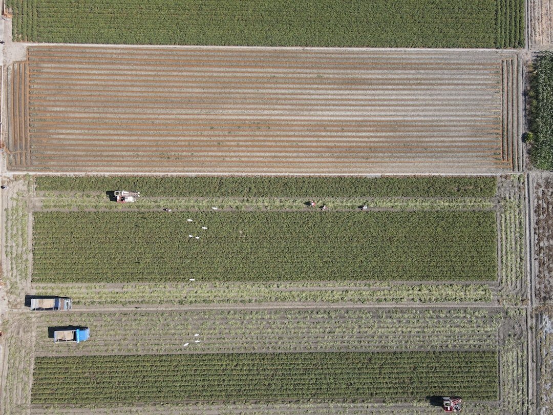découvrez les bienfaits des probiotiques pour renforcer votre microbiote intestinal et améliorer votre bien-être digestif au quotidien.