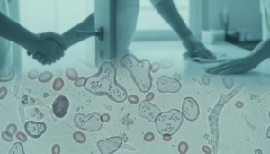 découvrez si le blastocystis hominis est réellement contagieux, ses modes de transmission et les précautions à prendre pour se protéger.